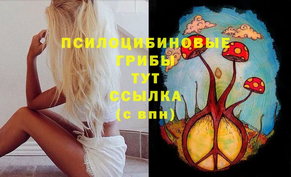ECSTASY Корсаков