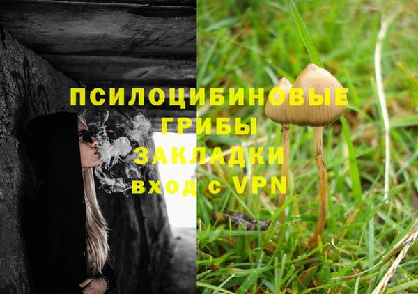гашиш Коряжма
