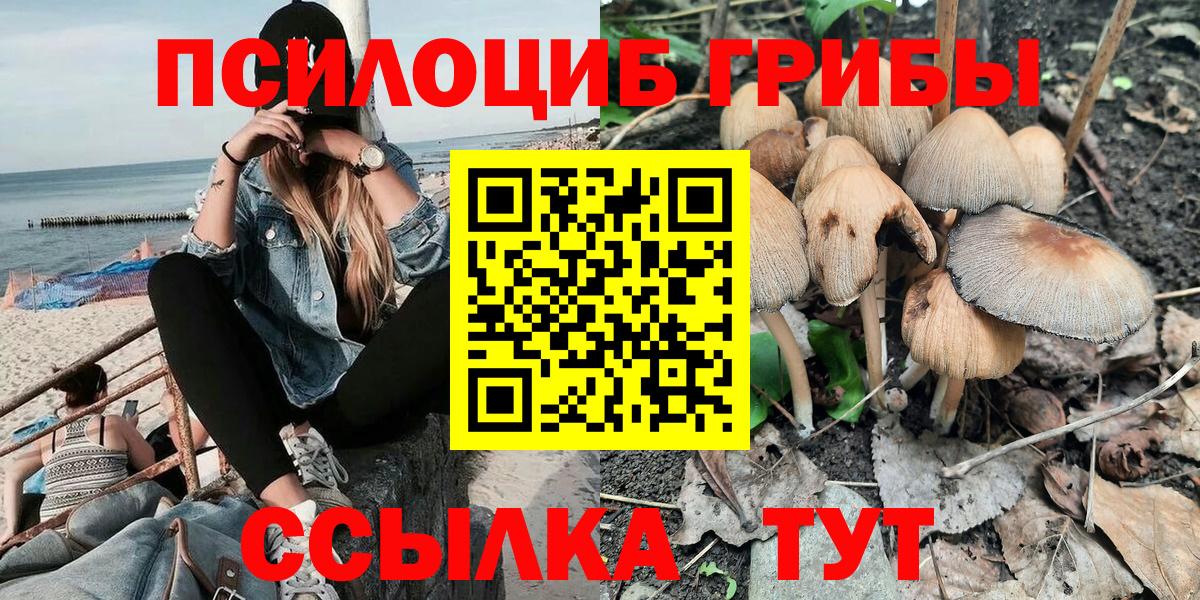 Псилоцибиновые грибы Psilocybe Долгопрудный