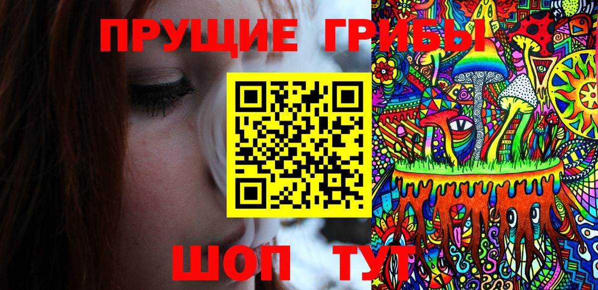 Псилоцибиновые грибы Psilocybine cubensis Долгопрудный