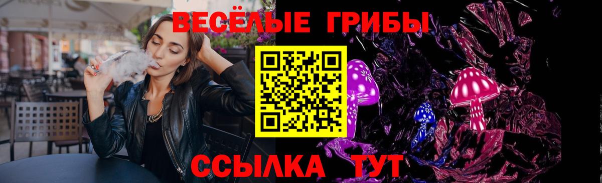 Псилоцибиновые грибы MAGIC MUSHROOMS  наркота  Долгопрудный 